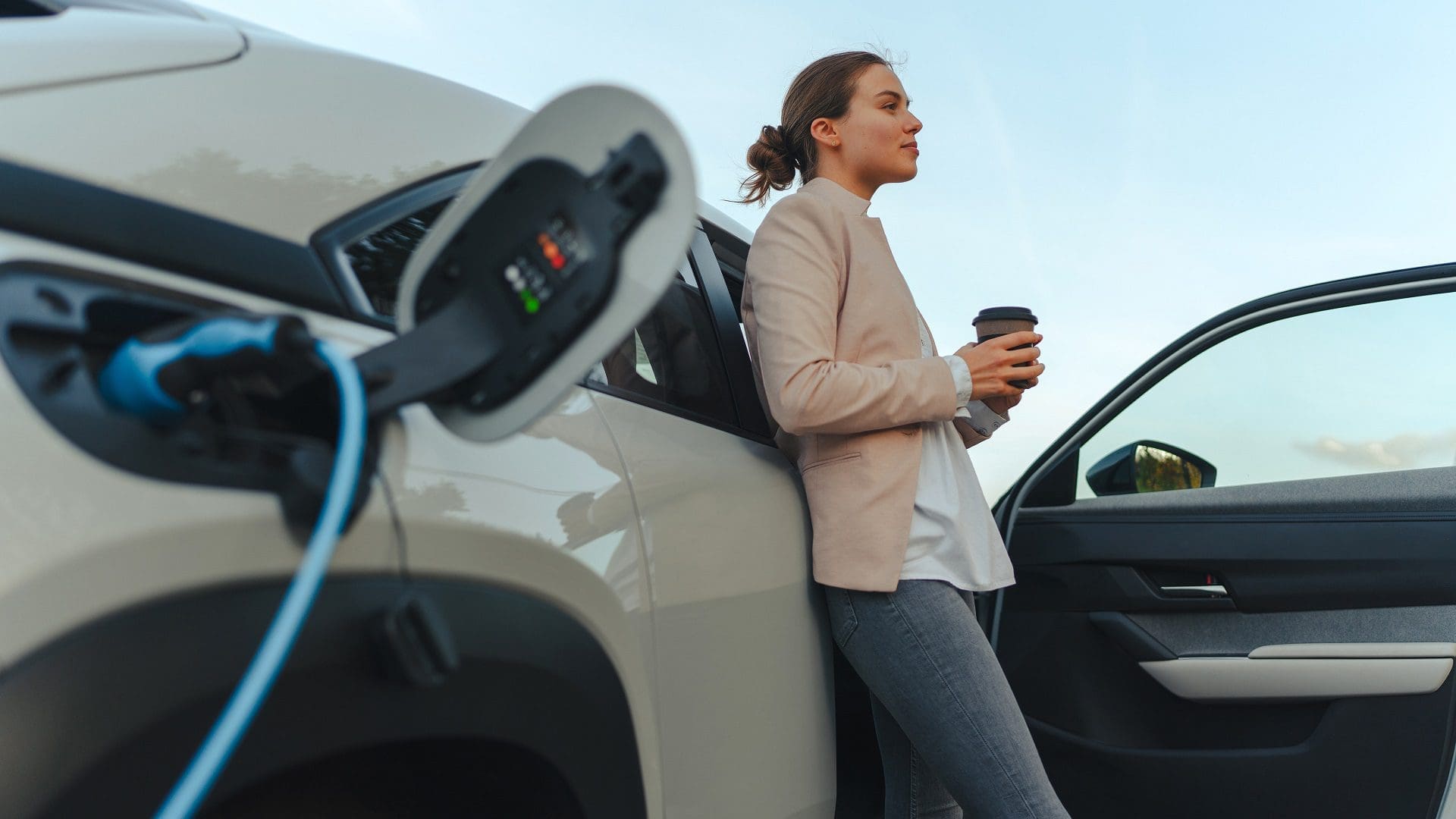 Choosing Rental Ev